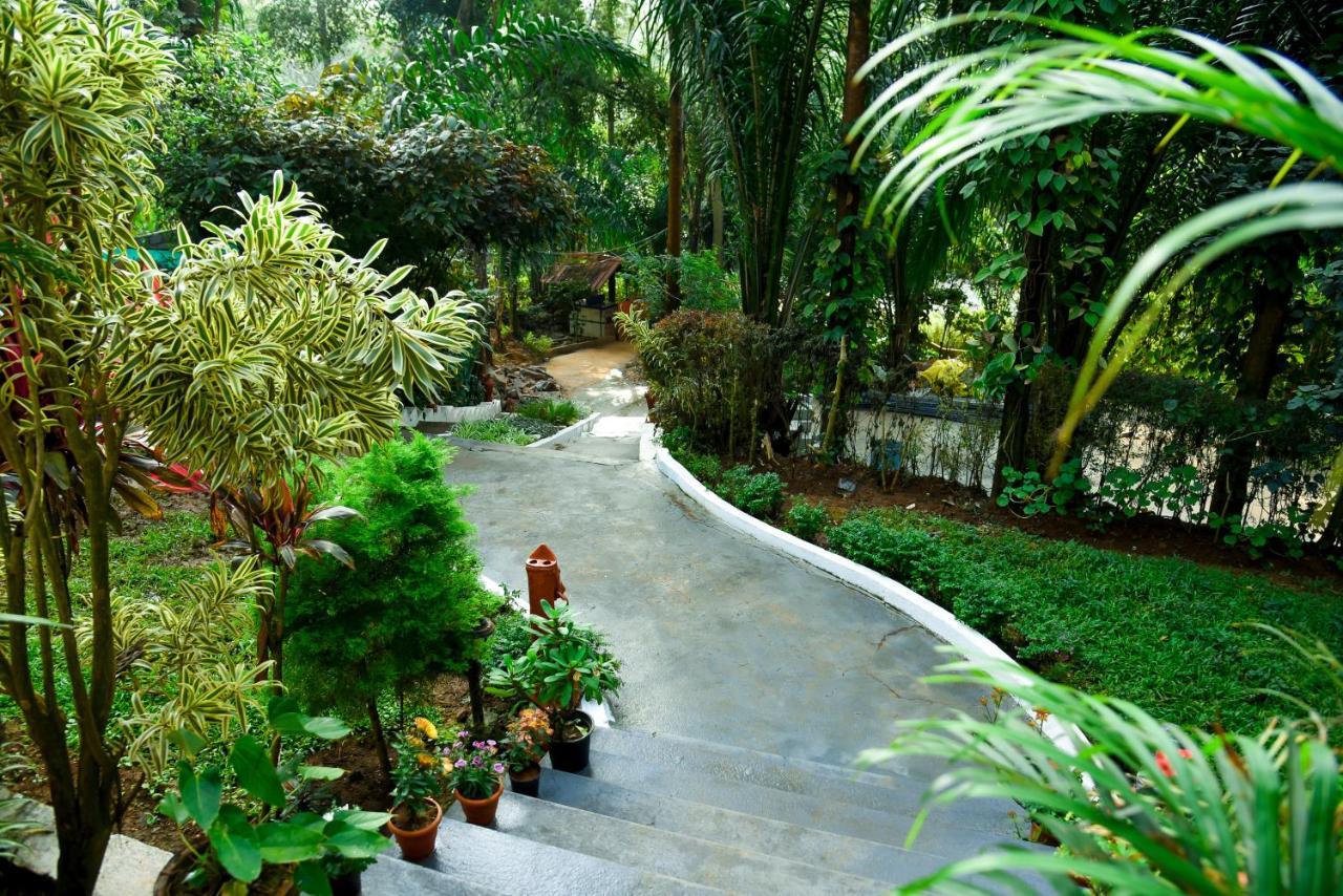The Spectrum - सहारा Chikmagalur