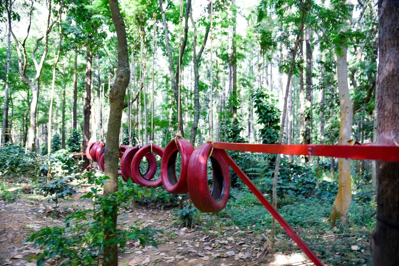 The Spectrum - 3* Chikmagalur