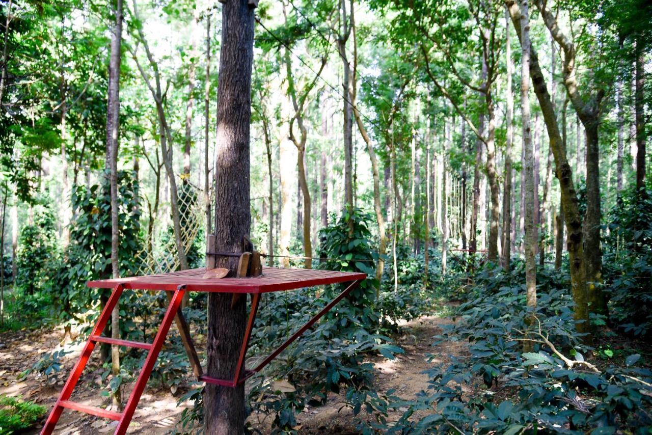 The Spectrum - 3* Chikmagalur
