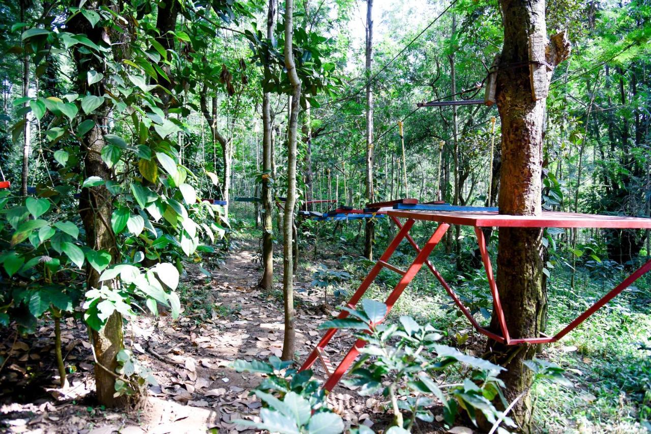 सहारा The Spectrum - Chikmagalur